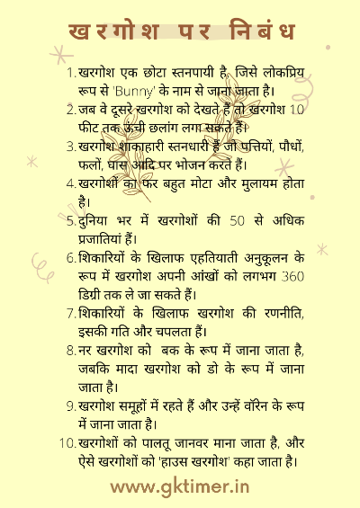 खरगोश के बारे में 10 पंक्तियाँ | Rabbit in Hindi : 10 Lines on Rabbit in Hindi | Essay on Rabbit in Hindi