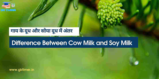 गाय के दूध और सोया दूध में अंतर | Difference Between Cow Milk and Soy Milk in Hindi