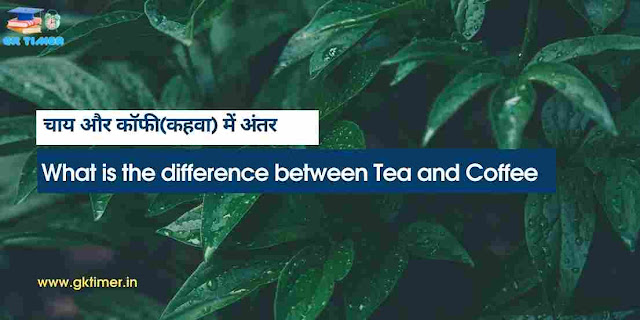 चाय और कॉफी(कहवा) में अंतर | What is the difference between Tea and Coffee?