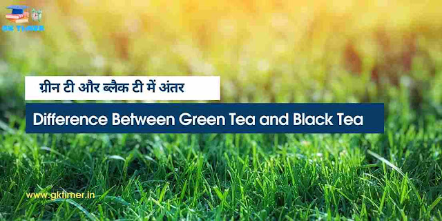 ग्रीन टी और ब्लैक टी में अंतर | Difference Between Green Tea and Black Tea in Hindi