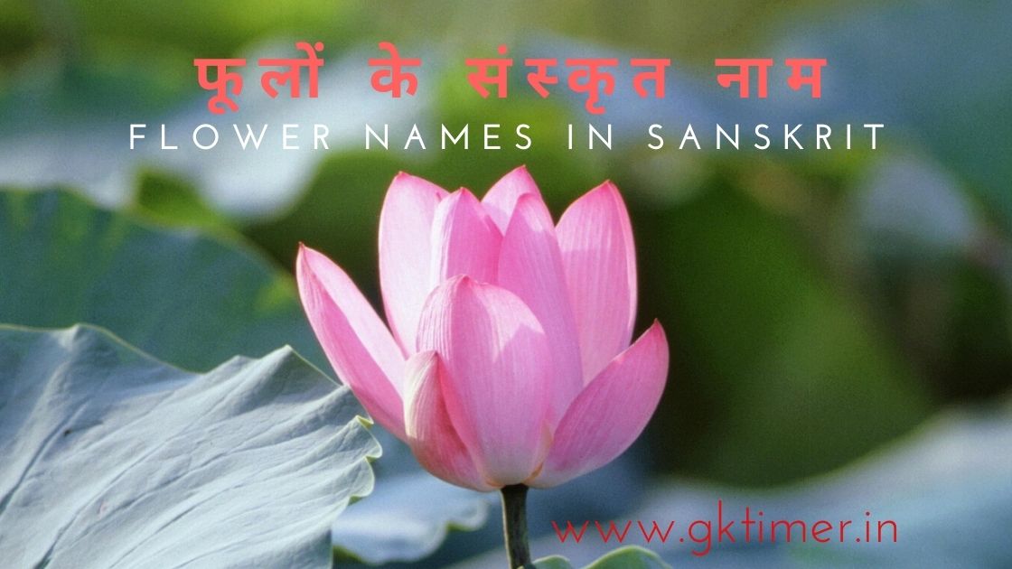 Flowers name in sanskrit,Hindi & English