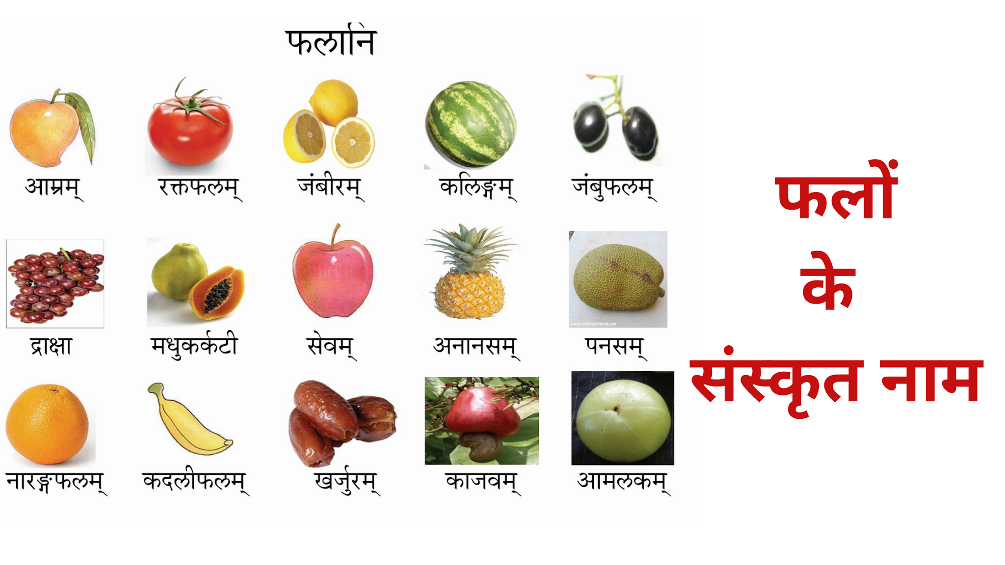 Fruits Names In Sanskrit,फलों के नाम संस्कृत में
