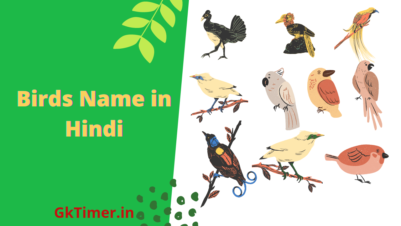 Birds Name in hindi(Name of Birds in Hindi)