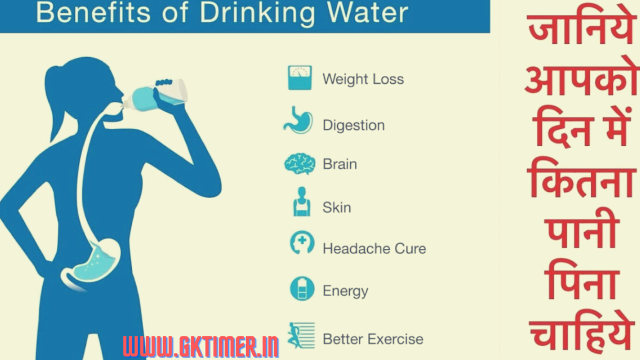आपको एक दिन में कितना पानी पीना चाहिए(How much should you drink every day?)