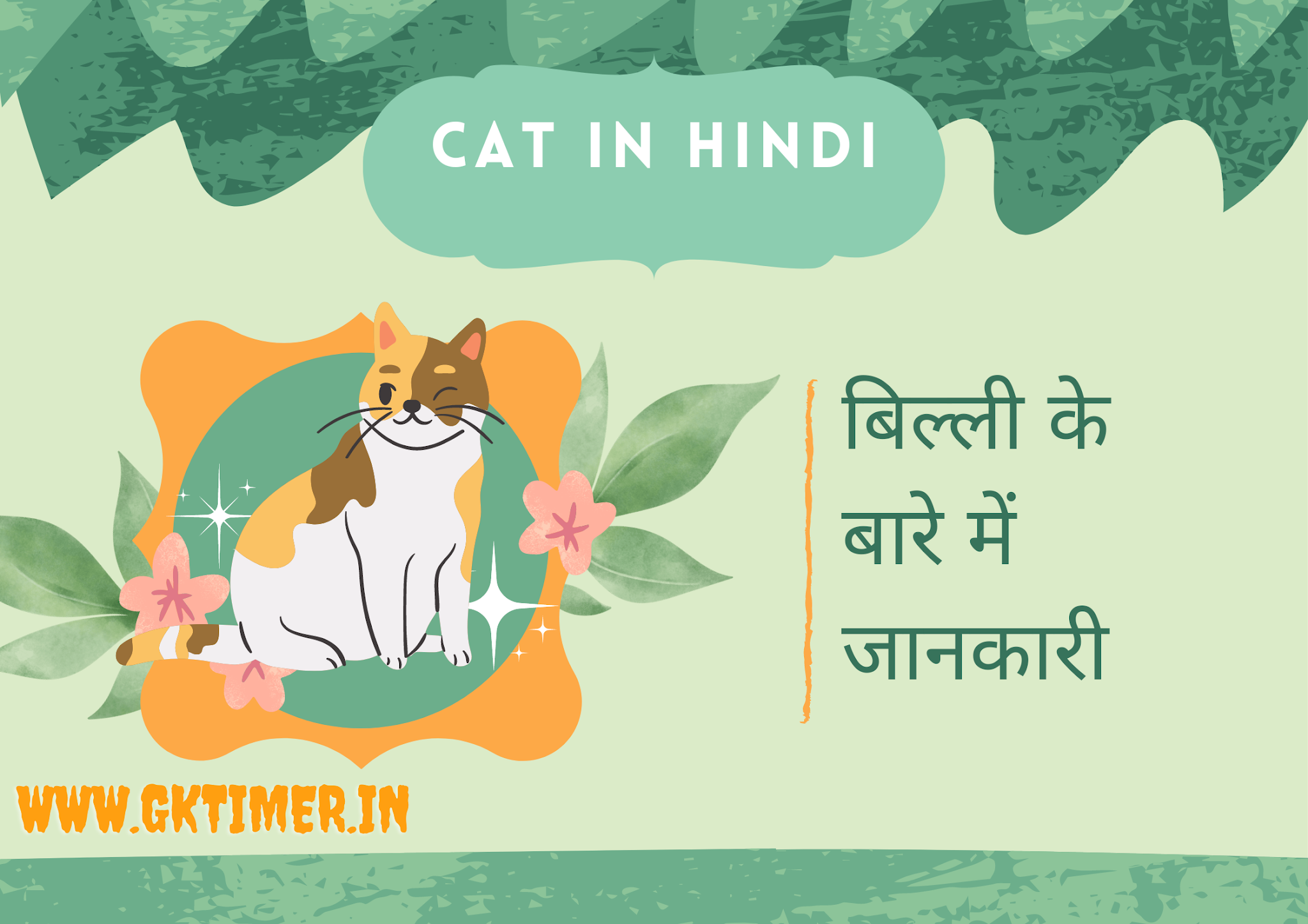 बिल्ली के बारे में 10 पंक्तियाँ | Cat in Hindi : 10 Lines on Cat in Hindi