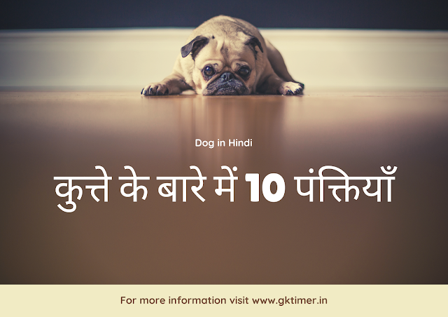 कुत्ते के बारे में 10 पंक्तियाँ | Dog in Hindi : 10 Lines on Dog in Hindi | Essay on Dog in Hindi