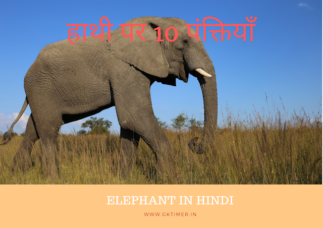 हाथी के बारे में 10 पंक्तियाँ | Elephant in Hindi : 10 Lines on Elephant in Hindi
