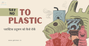 प्लास्टिक प्रदूषण को कैसे कम करें?