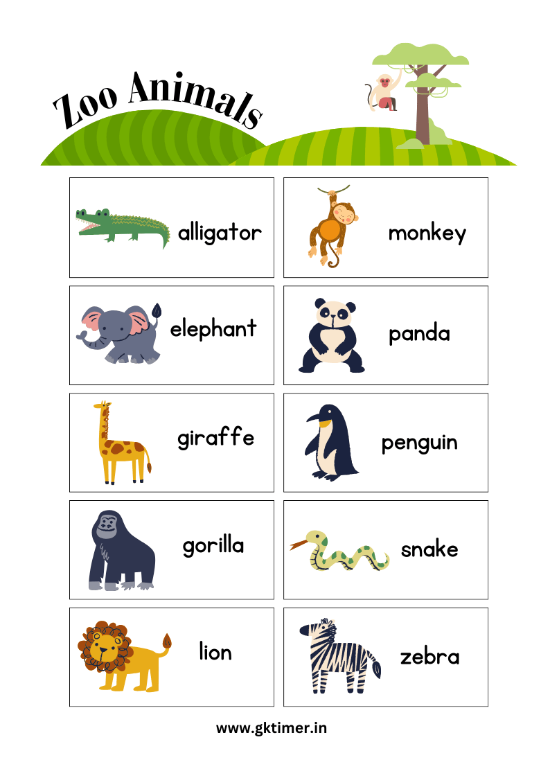 List of Zoo Animals